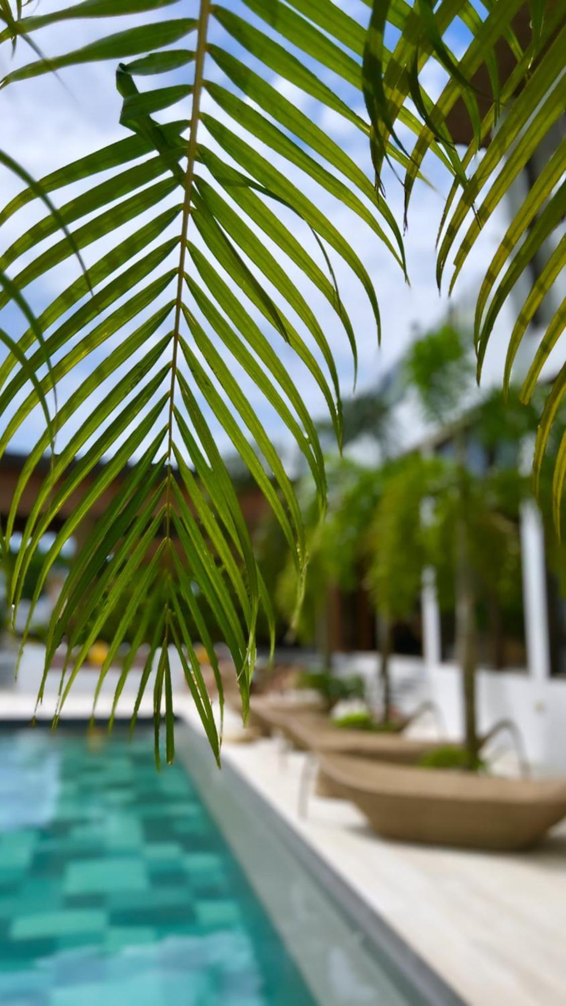 Ahana Resort El Nido Eksteriør bilde